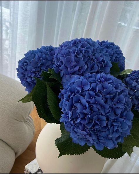 Blue Hydrangea Bouquet, Blue Hydrangea Flowers, Peonies And Hydrangeas, Blue Hydrangeas, Hydrangea Bouquet, Hydrangea Garden, Boquette Flowers, Flowers Bouquet Gift, Nothing But Flowers