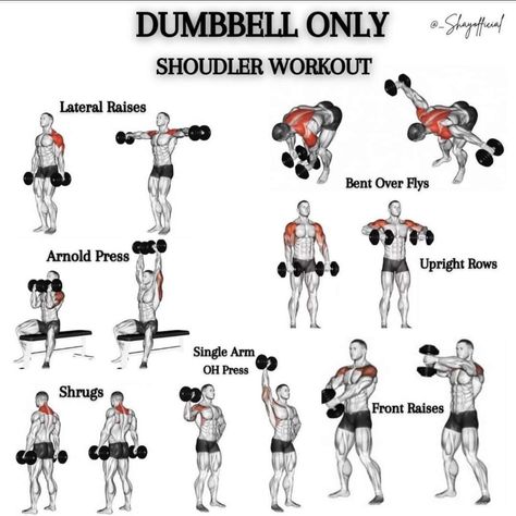 Dumbbell Workout Plan, Dumbbell Back Workout, Workout Chest, Chest Workout Routine, Dumbbell Shoulder, Dumbbell Workouts, Workout Gym Routine, Workout Program Gym, Dumbell Workout