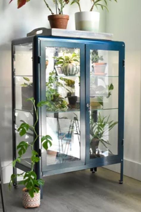 There's no denying how charming IKEA greenhouse cabinets are. If you have one or are interested in creating your own, here are 7 products we recommend having. #IKEA #GreenhouseCabinet #Plants #PlantCabinet #TheSpruce Ikea Plant Cabinet Greenhouse, Greenhouse Bookshelf, Plant China Cabinet, Diy Ikea Greenhouse, Ikea Cabinet Plants, Ikea Green House Cabinet, Glass Cabinet For Plants, Ikea Indoor Greenhouse, Ikea Curio Cabinet