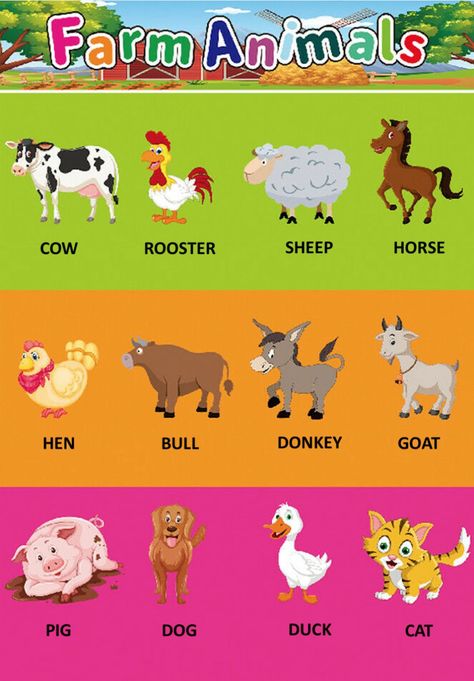 Animals Learning Activities, Animals Chart Kindergarten, Printable Animals Pictures, Domestic Animals Chart For Kids, Animal Chart For Preschool, Farm Animals For Kindergarten, Preschool Charts Printable, Animal Chart For Kids, Farm Animals Activities For Kindergarten