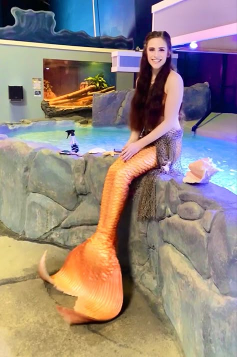 Mermaid Crosslyn at the Aquarium of Boise Mermaid In Aquarium, Fin Fun Mermaid, Fin Fun, Pretty Mermaids, Real Mermaids, Mermaid Pictures, Meet And Greet, The Aquarium, At Noon