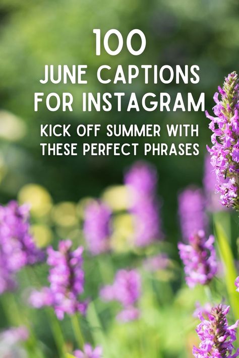 100 June Captions for Instagram: Kick Off Summer with These Perfect Phrases Cottage Captions For Instagram, June Dump Captions, June Captions Instagram, June Captions, Pet Puns, Summer Instagram Captions, Senior Year Quotes, Summer Captions, Powerful Women Quotes