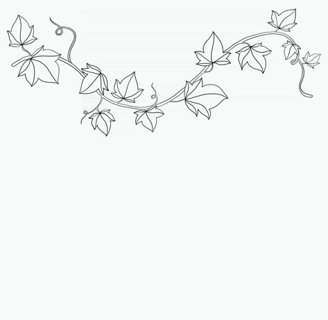 Ivy Line Drawing, Simple Ivy Tattoo, Ivy Line Art, Ivy Plant Drawing, Ivy Plant Tattoo, Ivy Leaf Drawing, Ivy Leaves Tattoo, Ivy Leaf Tattoo, Ivy Vine Tattoo