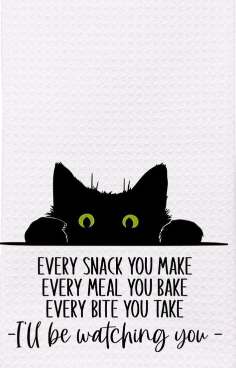 Black Cat Quotes, Cat Quotes, Fur Babies, Black Cat, Kitty, Quotes