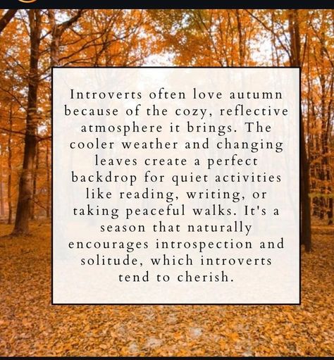 Reddit - Dive into anything Slow Motherhood, About Introverts, Feminine Things, Happy First Day Of Fall, Fall O, Seasonal Living, First Day Of Fall, Quiet Activities, Myers–briggs Type Indicator