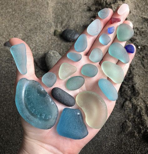 Siren Song, Beach Finds, Sea Glass Beach, Wallpaper Space, Glass Gems, Beach Combing, Sea Glass Art, Cute Animal Photos, All Things Cute