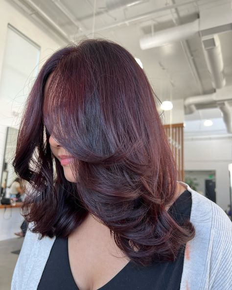 cherry cola 🍒 Used no lightener to achieve this color! This was able to be done because she did have virgin hair. I’m still looking for models! Book through the link in my bio under the models tab ❤️ #walnutcreekhairstylist #walnutcreekhair #walnutcreekdowntown #bayareahairstylist #bayareahair Red Tint Hair, Cola Hair Color, Cherry Cola Hair Color, Cola Hair, Cherry Cola Hair, Temporary Hair Dye, Cherry Hair, Hair Tint, Cherry Cola