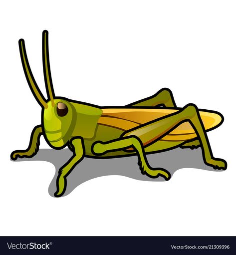 Grasshopper Cartoon, Bug Cartoon, Green Grasshopper, Author Dreams, Bugs Life, Insect Collection, Grasshoppers, Cartoon Fish, Cute Funny Cartoons