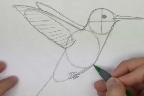 Easy To Draw Hummingbird, Drawing Of Hummingbird, How To Draw Hummingbird Step By Step, Painting Hummingbirds Ideas, Painting Of Hummingbird, Diy Hummingbird Painting, Step By Step Hummingbird Drawing, Painting A Hummingbird, How To Draw A Hummingbird Easy