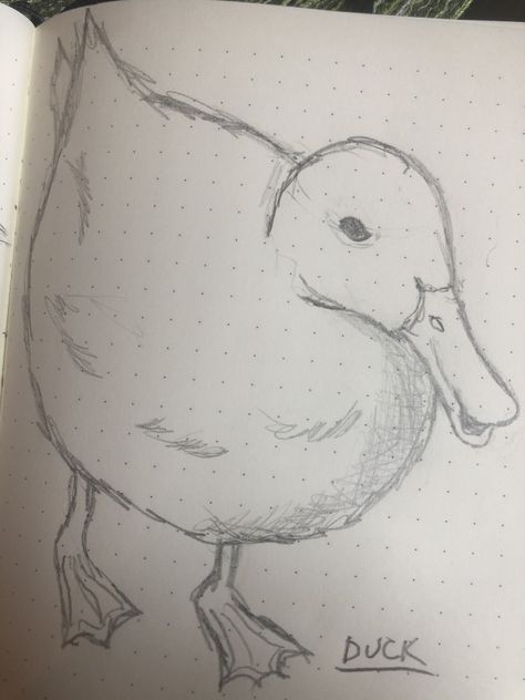 Drawing Ideas Duck, Cute Duck Sketch, Duck Drawing Realistic, Duck Sketch, Duckling Drawing Easy, Duck Drawing Sketches, Duck Sketch Pencil, Duck Black And White Drawing, Duck Drawing