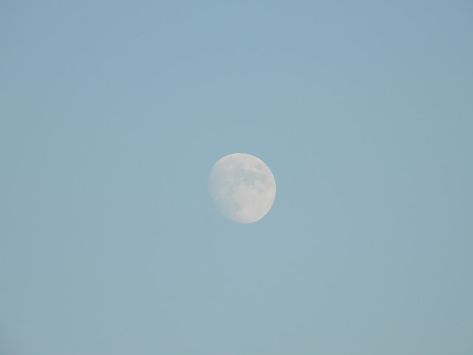 Bird & Travel Photos, Birding Sites, Bird Information: THE MOON DURING THE DAY, COLONEL SAMUEL SMITH PARK... Moon During Day Aesthetic, Moon During The Day, Bird Photos, Gender Envy, During The Day, Ap Art, Bird Photo, Toronto Ontario, Central America