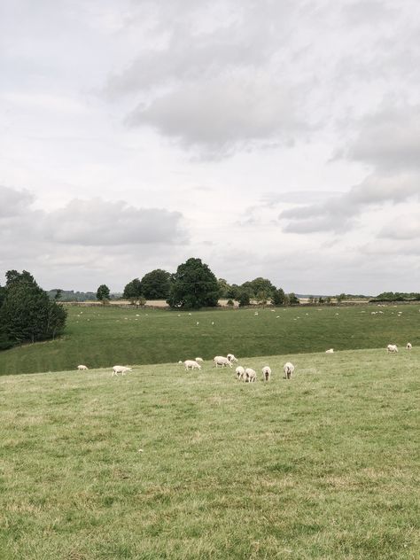 Quintessential English country side English Countryside Aesthetic, Countryside Scenery, Visualization Meditation, British Country, Small Town Life, North Country, Landscape Photography Nature, British Countryside, Country Side