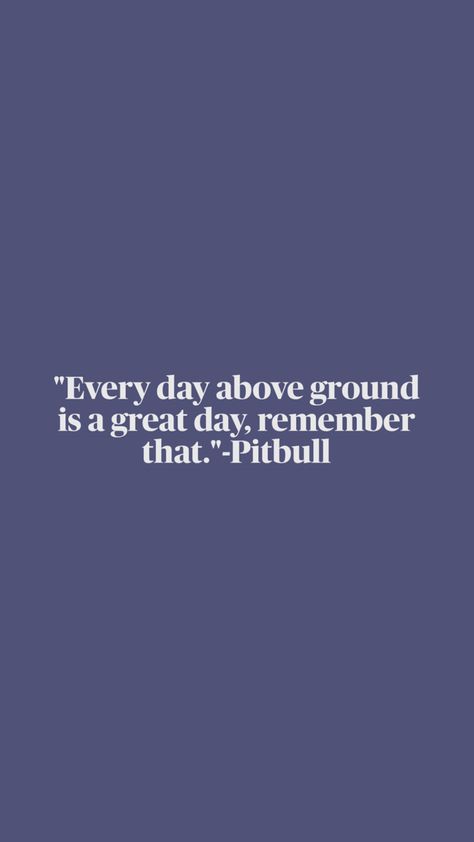 Time of our lives pitbull lyric Pitbull Lyrics, Grades Quotes, Pitbull Quotes, Quotes Of Inspiration, Time Of Our Lives, Reminder Quotes, Pitbull, Our Life, Inspirational Quotes