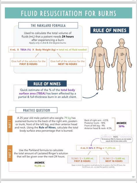 Burn Nursing, Burns Nursing, Nclex Notes, Nursing School Prep, Study Nursing, Nclex Tips, Nursing School Inspiration, Nursing 101, Medical Notes