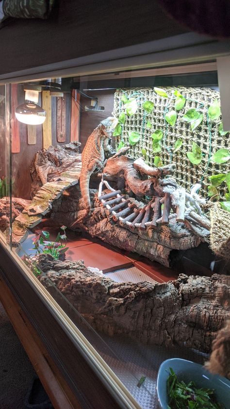 Large Bearded Dragon Terrarium, Best Bearded Dragon Enclosure, Bearded Dragon Ideas Tanks, Bearded Dragon Husbandry, Outdoor Bearded Dragon Enclosure Diy, Lizard Tank Ideas Diy Bearded Dragon, Ikea Bearded Dragon Enclosure, Bearded Dragon Plants, Unique Bearded Dragon Enclosure