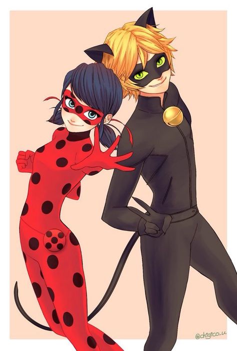 Cat Noir, Miraculous Ladybug, Cartoon Characters, Black