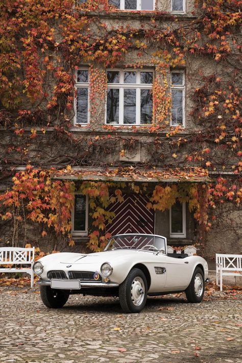 1958 BMW 507 Roadster Series II Bmw 507 Roadster, Bmw 507, Bmw Vintage, Classic Bmw, Bmw Classic Cars, Bmw Z3, Bmw Classic, Bmw 2002, Classic Sports Cars