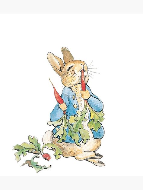 "Peter Rabbit Eating Carrots" Sticker by RickE | Redbubble Peter Rabbit Wallpaper, Peter Rabbit Illustration, Fiber Art Collage, Hare Illustration, Beatrix Potter Illustrations, Young Rabbit, Rabbit Family, Peter Rabbit Party, Rabbit Pictures