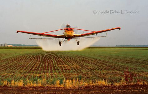 Crop Duster, Wilbur Wright, A10 Warthog, Propeller Plane, Pilot License, Airplane Wallpaper, General Aviation, Farm Equipment, Spacecraft