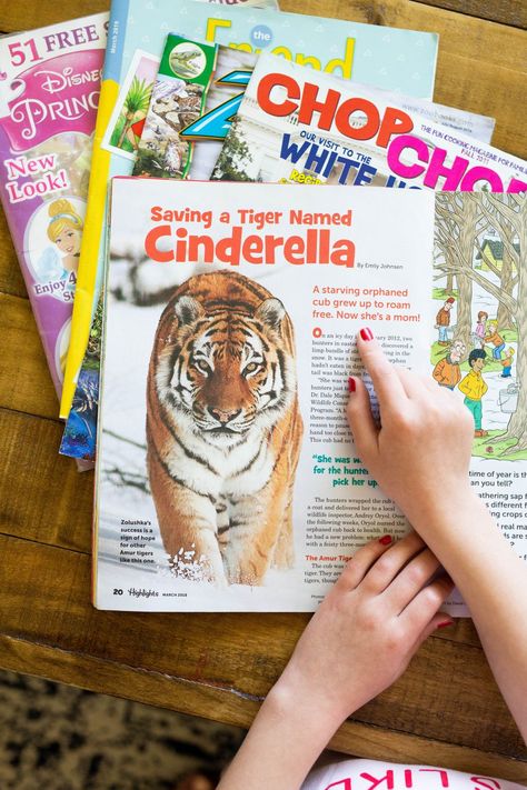 Looking for the best children's magazines to subscribe to for your child or give as a gift to your grandchildren? These are 9 of our faves! Magazine Moodboard, Kids Magazines, Grandparents Activities, Grandma Camp, Editorial Layouts, Kids Questions, Kids Magazine, Kid Books, Grandchildren Gifts