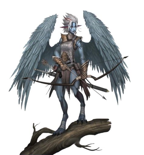 Female Strix Archer Fighter - Pathfinder PFRPG DND D&D 3.5 5th ed d20 fantasy Arococra Dnd, Aarakocra Dnd Female, Aarakocra Fighter, Aarocockra Dnd Art, Aracokra Dnd Art, Strix Pathfinder, Androsphinx D&d, Manama, Fantasy Races