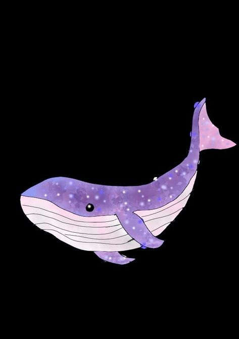 Flying Whale Art, Whale Animation, Bts Whale, Purple Dolphin, Purple Whale, Whale Drawing, Whale Illustration, Shark Drawing, Doodle Quotes