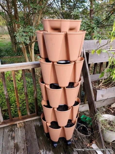 Greenstalk Vertical Planter, Water Storage Containers, Vertical Garden Planters, Vertical Planter, Vertical Gardening, Fall Vegetables, Attract Pollinators, Snap Peas, Garden Spaces