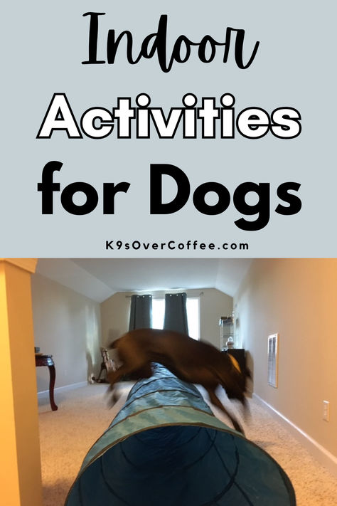 Black dog jumping over a dog agility tunnel inside on carpeted flooring. Games To Play With Dogs Inside, Games To Play With Dogs, Enrichment For Dogs, Activities For Dogs, Crappy Day, Raw Dog Food, Bored Dog, Dog Exercise, Raw Dog Food Recipes