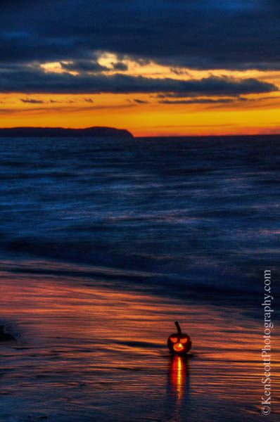 Lake Michigan Beach, Coastal Fall, Fall Beach, Lake Michigan Beaches, Pure Michigan, Beach Aesthetic, Lake Michigan, Beach Waves, Jack O Lantern