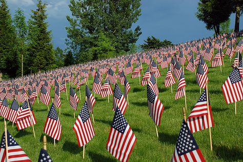 Memorial Day Tribute Memorial Day Aesthetic, Gresham Oregon, American Flag Wallpaper, Flag Wallpaper, Day Aesthetic, Arlington National Cemetery, Inspiring Thoughts, United States Flag, Wallpaper Laptop