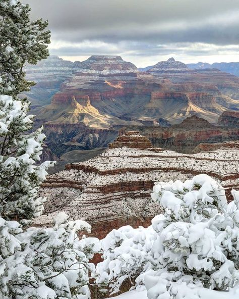 Grand Canyon, Sunrise on Christmas Morning. Grand Canyon Winter, Happy 100th Birthday, Colorado Plateau, National Park Photos, Morning Sunrise, National Parks Usa, The Grand Canyon, Grand Canyon National Park, Travel Images