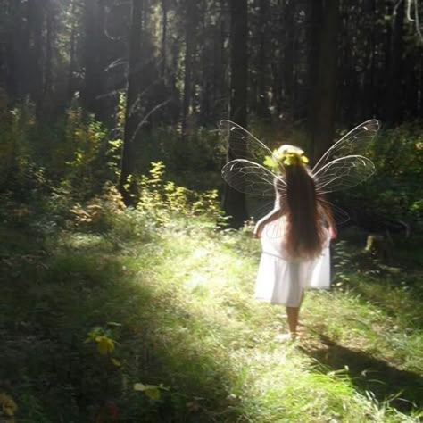 Fairies Aesthetic, Fairytale Photoshoot, Fairy Photoshoot, Real Fairies, Dark Fairycore, Fairytale Aesthetic, Fairy Wallpaper, Fairycore Aesthetic, Ethereal Aesthetic