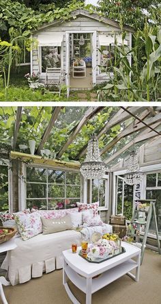 She Shed Diy She Shed, Diy Sheds, Reclaimed Windows, Lots Of Plants, Storage Shed Plans, Backyard Office, Greenhouse Plans, Potting Sheds, Garden Rooms