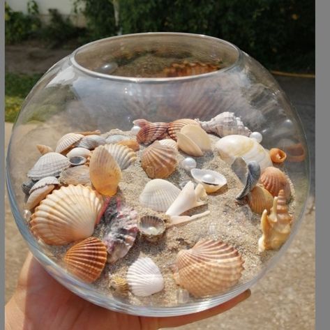 Home Decor With Sea Shells, Seashell Table Decor Centerpieces, Big Shell Decor, Seashells In A Jar, Diy Ocean Decor Bedroom, Sand And Shells In A Jar Ideas, Seashells Decor Ideas, Shell Terrarium, Seashell Jar