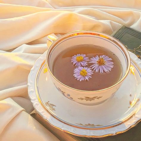 Daisy flower, flower, Tea, chamomile tea, aesthetic, Korean feed ig, Instagram Chamomile Tea Aesthetic, Calming Food, Teas Test, Korean Tea, Tea Aesthetic, Soft Kidcore, Yellow Aesthetic Pastel, Cupcake Bakery, Aesthetic Korean