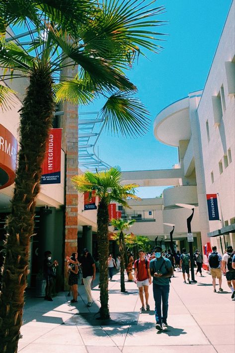 University Of Arizona Aesthetic, Arizona University, U Of Arizona, University Of Arizona Campus, Prettiest College Campuses, Arizona Tattoo, Arizona Aesthetic, Lectures Room, Phoenix Arizona