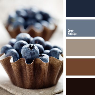 bedroom - COLOR PALETTE ~ BLUEBERRIES AND CHOCOLATE Grill Storage, Eames Design, Wolf Eyes, Palette Design, Design Seeds, Color Palate, Brown And Blue, Colour Board, Colour Schemes