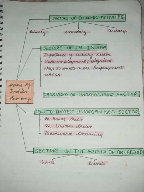 Indian Economy Notes, Hand Written Notes, Indian Economy, Written Notes, Science Notes, Economic Activity, Handwritten Notes, Class 10, Flow Chart