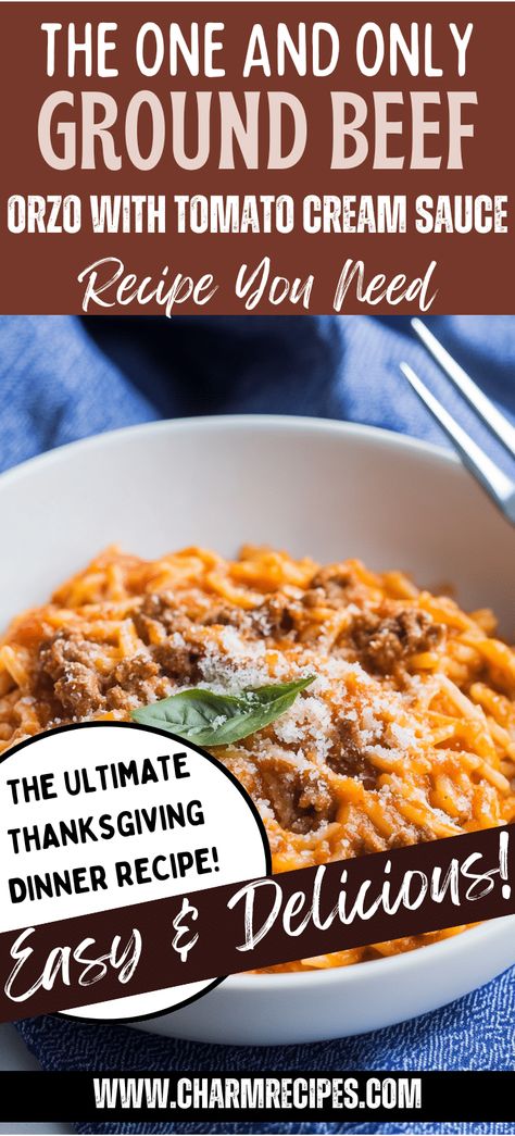 GROUND BEEF ORZO WITH TOMATO CREAM SAUCE Orzo Recipes Beef, Creamy Beef Orzo, Orzo Recipes With Ground Beef, Creamy Tomato Ground Beef Orzo, Orzo And Tomato Recipes, Healthy Orzo Pasta Recipes, Creamy Ground Beef Orzo, Ground Beef Orzo With Tomato Cream Sauce, Orzo Ground Beef Recipes