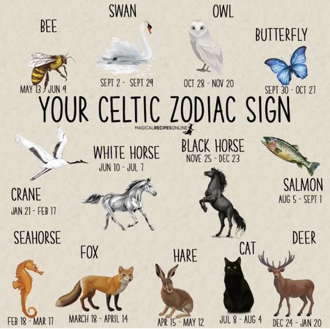 Celtic Zodiac Signs, Celtic Tree Astrology, Celtic Zodiac, Animal Meanings, Different Animals, Animal Spirit Guides, Witch Spirituality, Celtic Astrology, Animal Symbolism