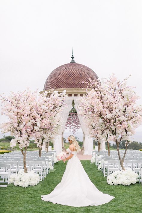 Enchanted Florist - A Cherry Blossom tree lined aisle for an unforgettable backdrop and entrance Blossom Tree Wedding, Pelican Hill Wedding, Enchanted Florist, Cherry Blossom Wedding, Blossom Tree, Cherry Blossom Tree, Tree Wedding, Wedding Aisle, Wedding Art