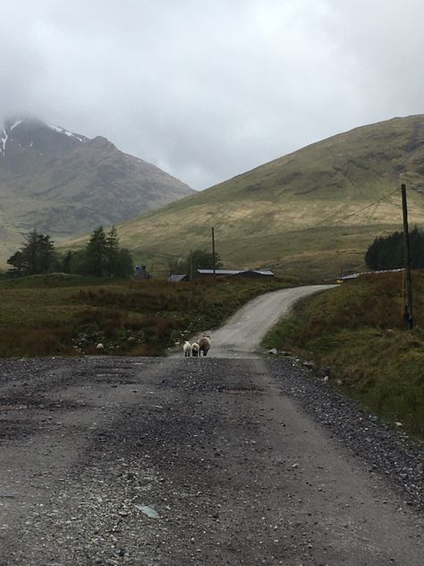 Scotland Farm Aesthetic, Rainy Hike Aesthetic, Rainy Scotland, Scotland Camping, Rainy Camping, Camping Scotland, Rainy Aesthetic, Mayfair Witches, Fantasy Farm