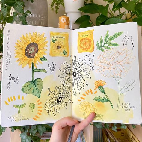 Messy Sketchbook Pages, Greenhouse Art, Messy Sketchbook, Gardening Guide, Drawing Digital Art, Greenhouse Growing, Gouache Art, The Greenhouse, Drawing Digital