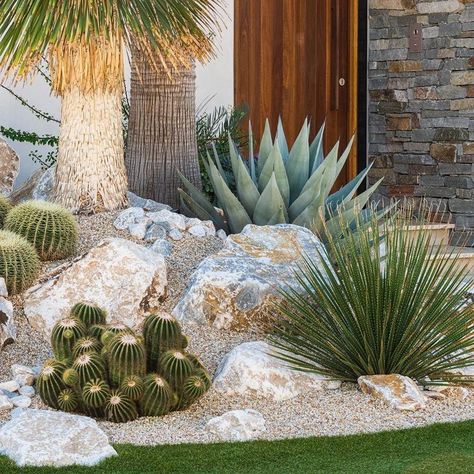 Desert Landscaping Backyard, Desert Landscape Design, Cactus Garden Landscaping, Cactus Gardens, Desert Backyard, Succulent Garden Landscape, Succulent Landscape Design, Succulent Garden Design, Succulent Landscaping