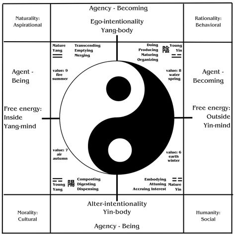 Mature Yin, Mature Yang, Young Yin, Young Yang - the 4 energy forces of life. Meaning Of Yin Yang, Yin Yang Definition, Yin Yang Elements, Balancing Yin And Yang, Yin Yang Explanation, Yang Energy, I Ching, Ying Yang, Yin Yang