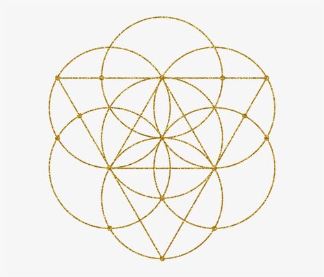 Geometry Circle, Flower Of Life Tattoo, Circle Tattoo, Flower Of Life, Sacred Geometry, Transparent Png, The Golden, Geometry, Circles