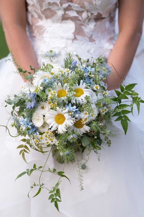 Blue And Green Wildflower Bouquet, English Wildflower Bouquet, Daisy And Blue Flower Bouquet, Daisy Flower Bouquet Wedding, Wildflower Style Bouquet, Daisy Wedding Bouquet Blue, Natural Wildflower Bouquet, Wedding With Daisies, Daisy And Blue Bouquet