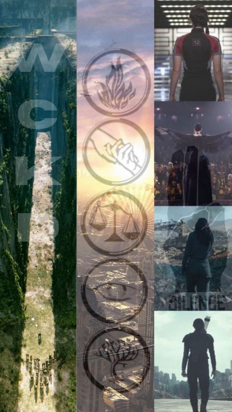 Hunger Games divergent labyrinth Hunger Games Wallpaper, Labyrinth Game, Divergent Hunger Games, Book Wallpaper, Harry Potter Wallpaper, Funny Movies, Divergent, Labyrinth, Hunger Games