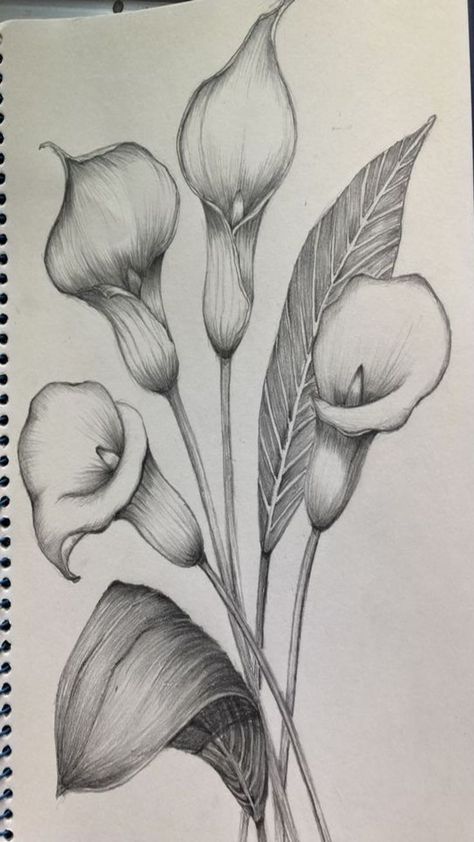 Art Sketches Of Flowers, Biro Drawing Flower, Flower Pencil Drawings Sketches, Flower Sketches Pencil Shading, Flower Composition Drawing, Drawings With Shading, Pencil Flower Drawings, Flower Drawing Realistic, Flower Drawing Pencil