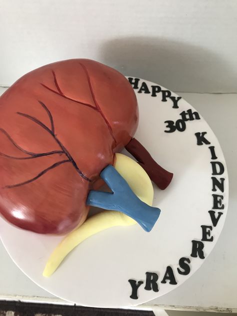 Kidney shaped cake Kidney Themed Party, Kidney Cake Ideas, Geography Cake, Kidney Cake, Living Kidney Donor, Theme Snack, Icing Ideas, Kidney Donor, Pumpkin Decorating Contest